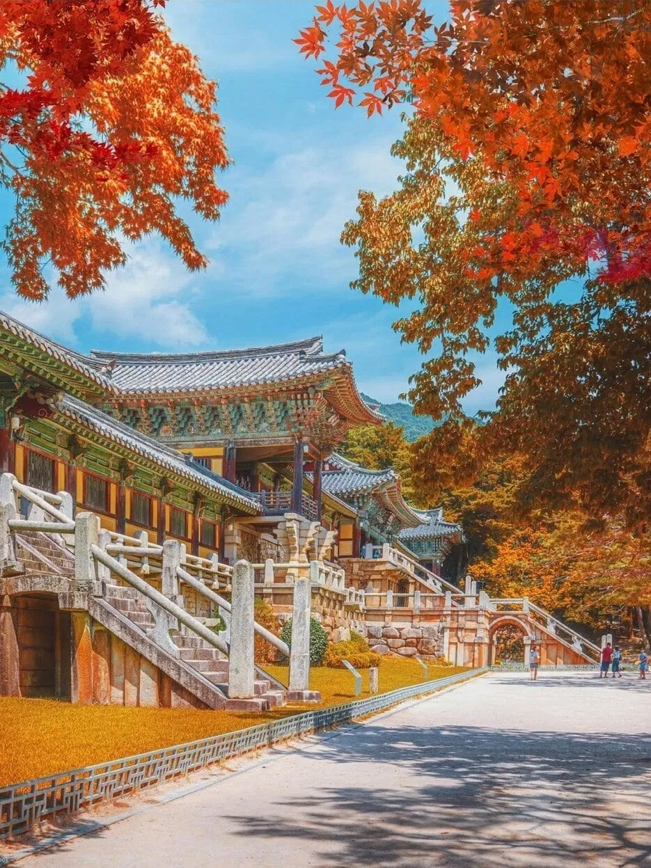 Busan to Gyeongju Day & Night Tour: Bulguksa, Gyochon Village & Donggung Palace