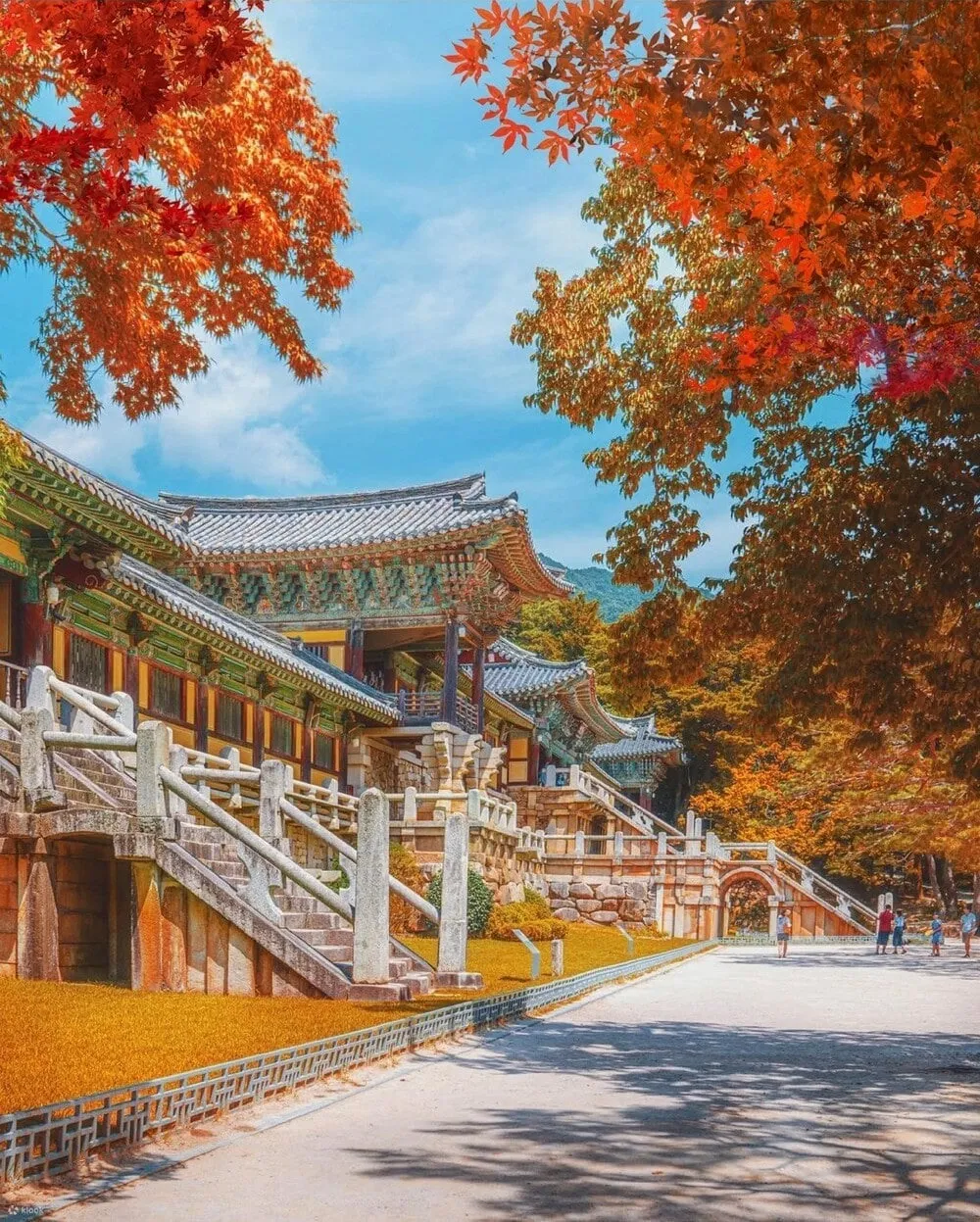 Busan to Gyeongju Day & Night Tour: Bulguksa, Gyochon Village & Donggung Palace
