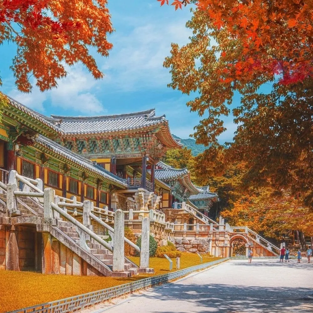 Busan to Gyeongju Day & Night Tour: Bulguksa, Gyochon Village & Donggung Palace