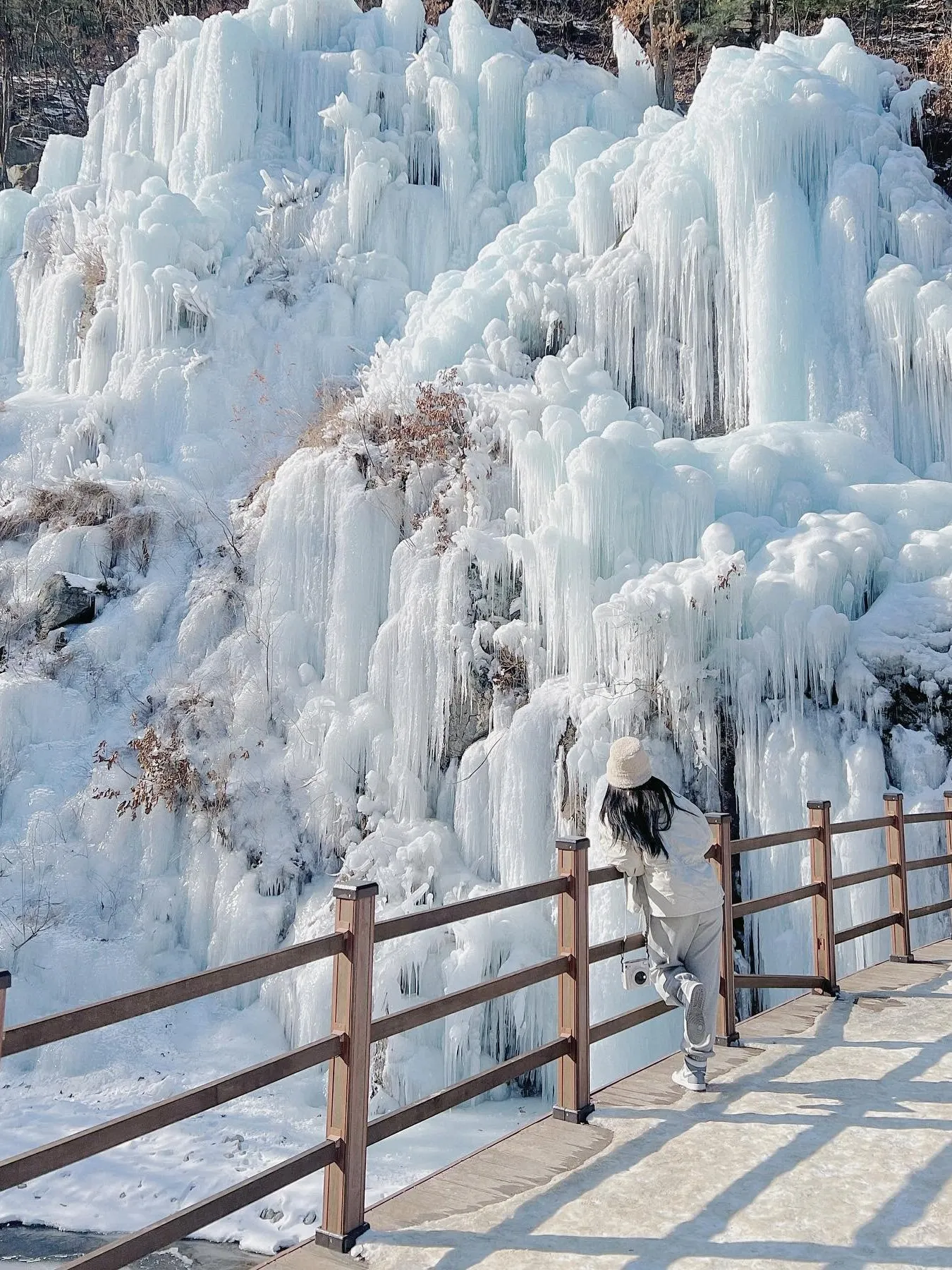 Eobi Ice Valley & Nami Island & Seasonal Hot Attractions Day Tour from Seoul