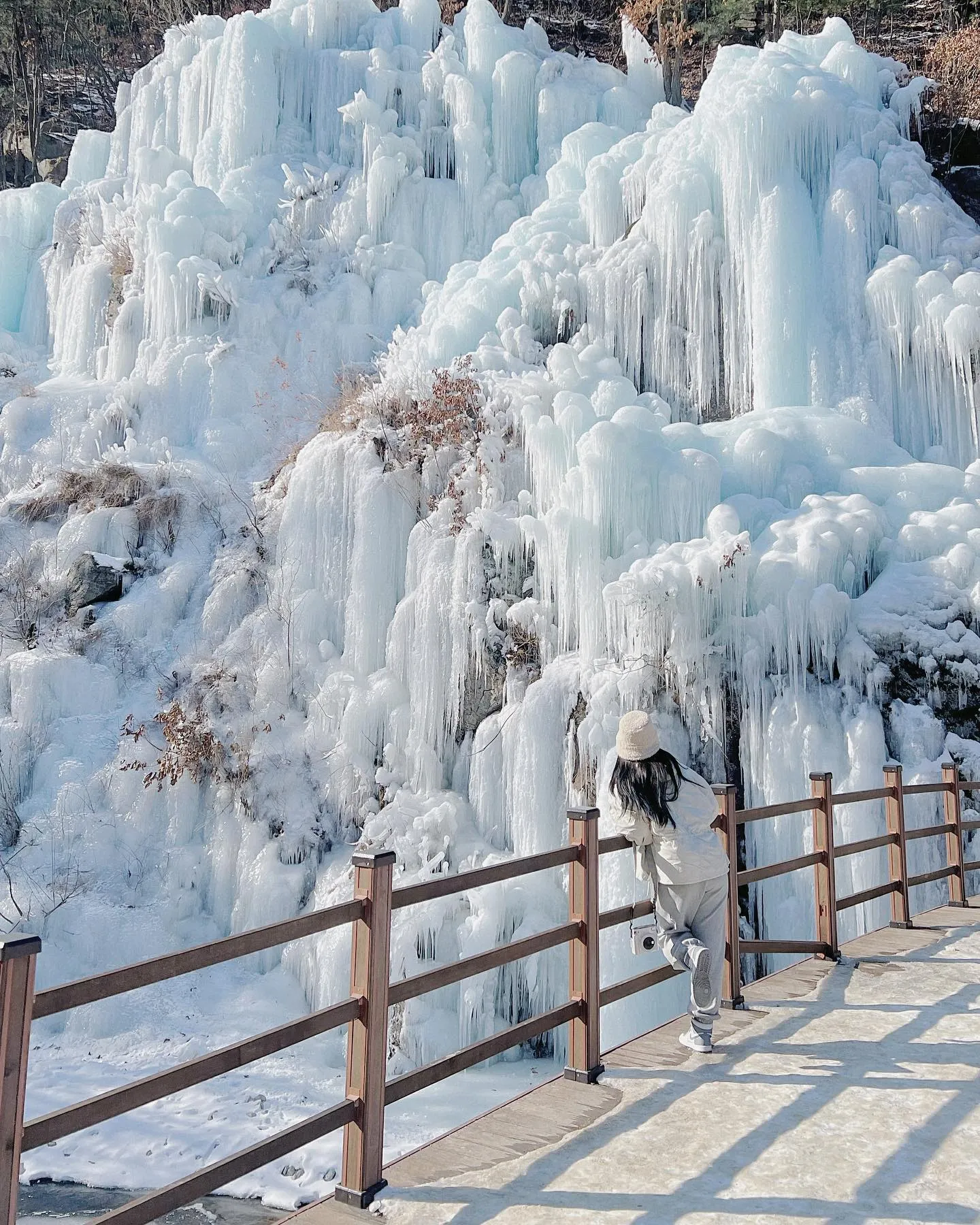 Eobi Ice Valley & Nami Island & Seasonal Hot Attractions Day Tour from Seoul