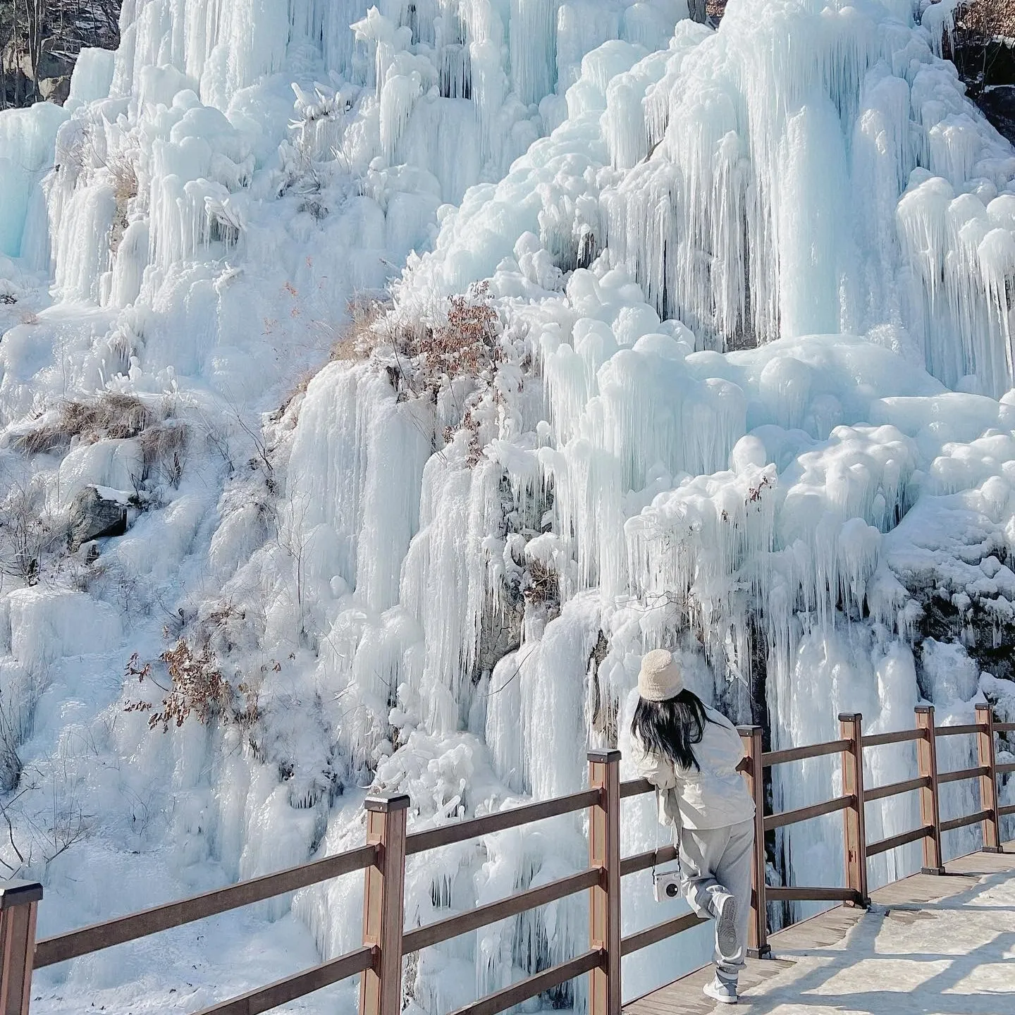 Eobi Ice Valley & Nami Island & Seasonal Hot Attractions Day Tour from Seoul